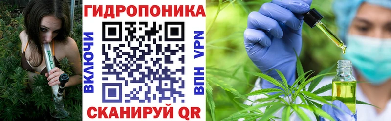 Какие есть наркотики Задонск Гашиш  A-PVP  Меф  Канабис 