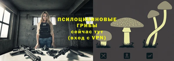 хмурый Алзамай