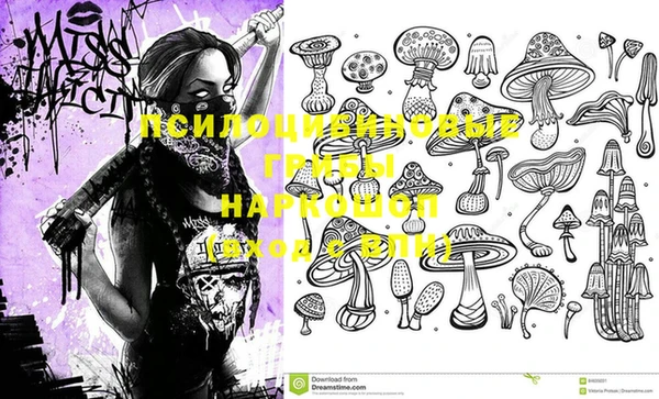 синтетический гашиш Алексеевка
