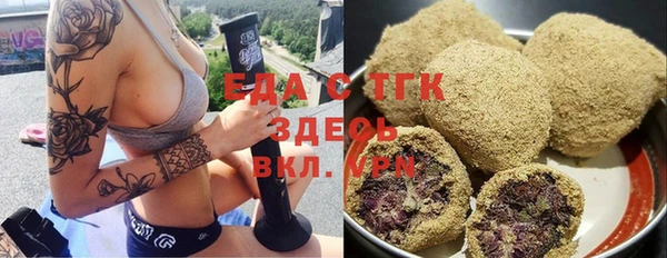 хмурый Алзамай