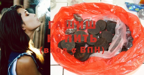 хмурый Алзамай