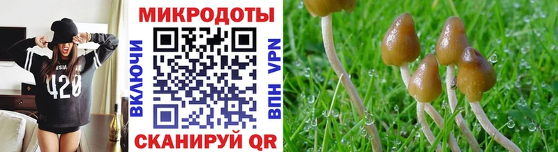 Псилоцибиновые грибы GOLDEN TEACHER  кракен маркетплейс  Задонск 